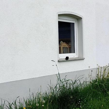 Urlaub Auf Dem Hirschhof Stehle Lejlighed Waldburg Eksteriør billede