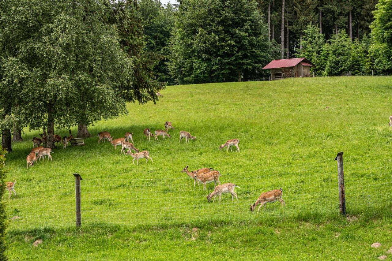 Urlaub Auf Dem Hirschhof Stehle Lejlighed Waldburg Eksteriør billede